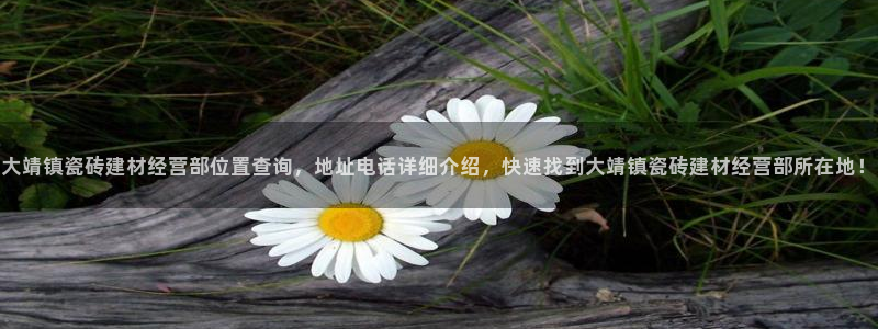 杏鑫官方平台怎么样啊