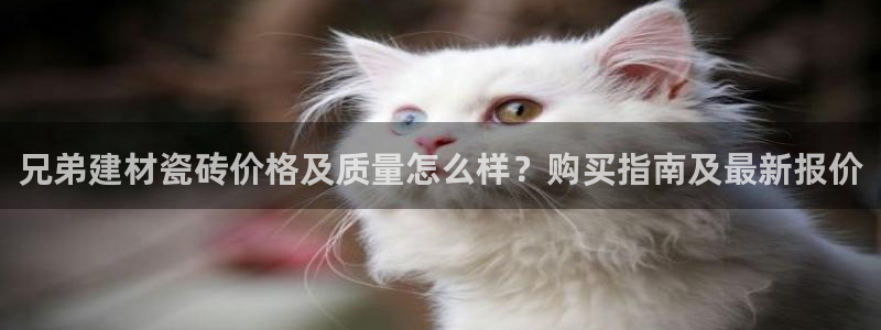 杏鑫平台招商怎么样啊