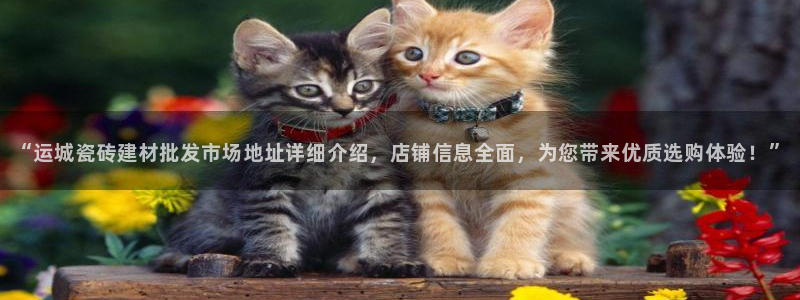 杏鑫平台靠谱吗