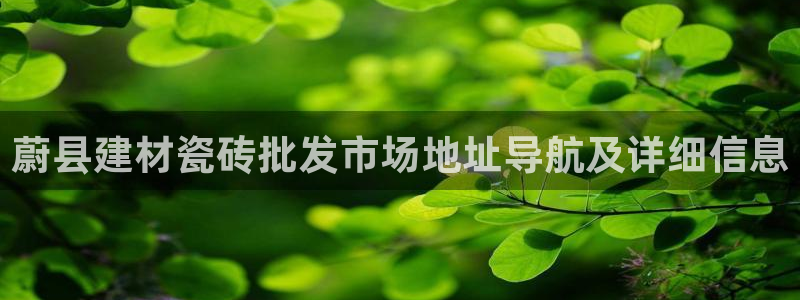 杏鑫官网最新信息新闻报道