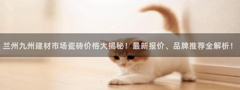 杏鑫官方平台怎么样啊