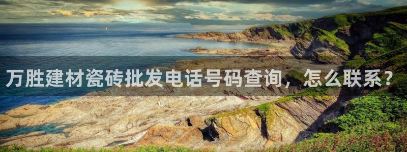 杏鑫手机客户端怎么下载