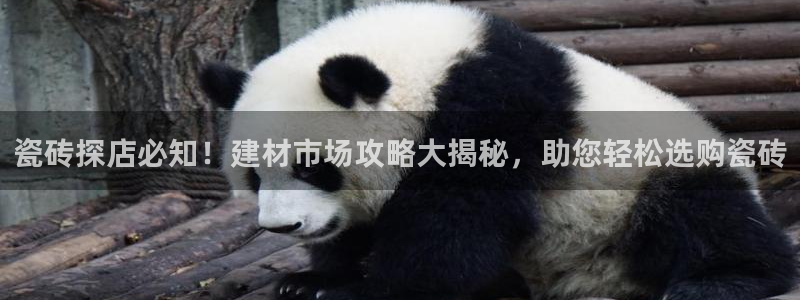 杏鑫平台怎么样
