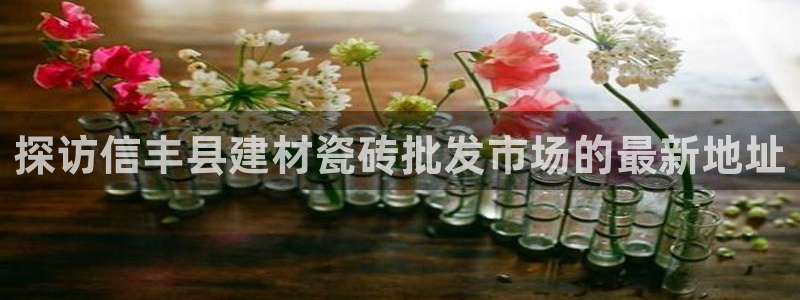 杏鑫平台代理怎么样啊