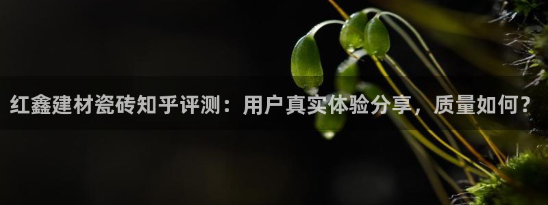 杏鑫平台代理怎么样可靠吗