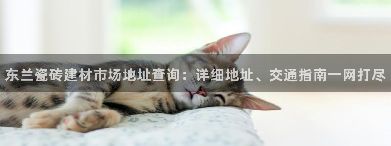 杏鑫娱乐怎么下