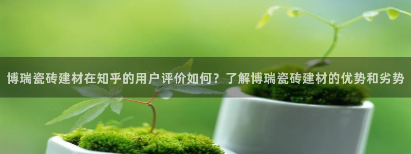 杏鑫平台代理注册流程