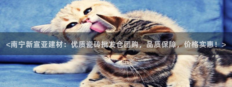 杏鑫官方平台怎么样啊可靠吗