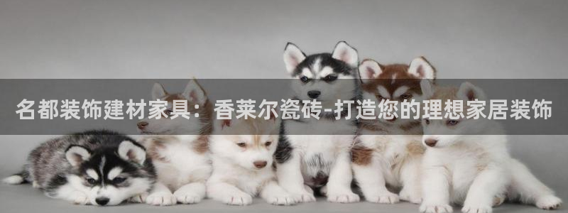 杏鑫娱乐负责人