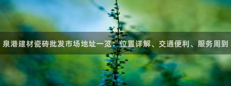 杏鑫平台代理怎么做