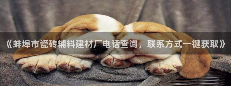 杏鑫平台招商电话号码