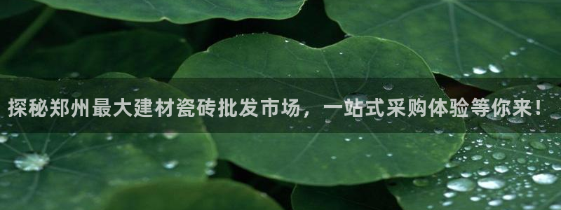 杏鑫平台招商电话是多少