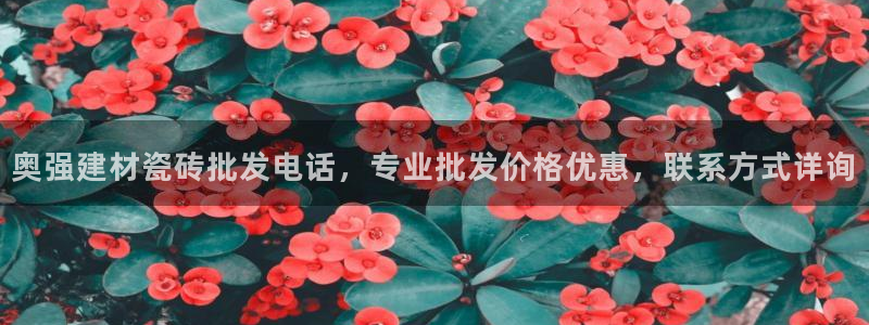 杏鑫平台代理