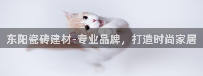 杏鑫平台代理怎么做赚钱