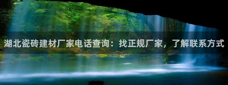 杏鑫平台代理怎么样啊