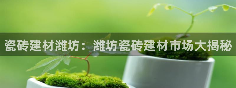 杏鑫娱乐负责人