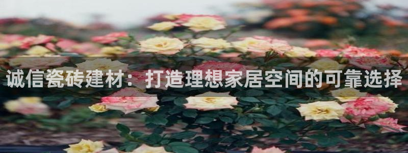 杏鑫平台是黑平台吗