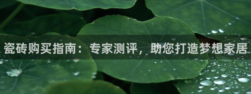 杏鑫平台代理怎么样可靠吗