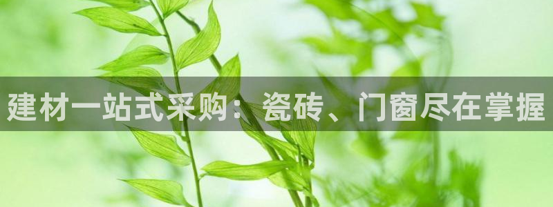 杏鑫平台登陆