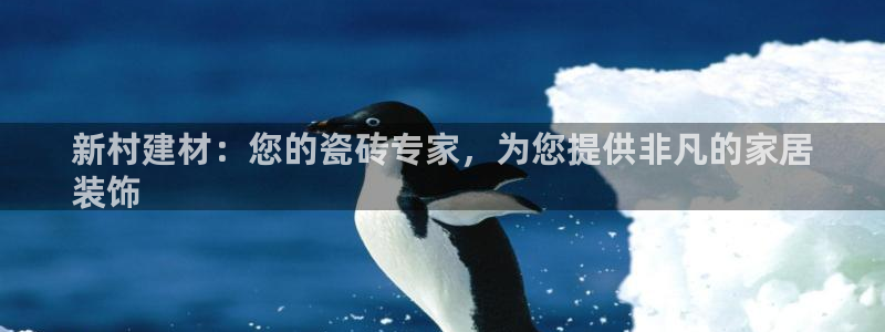 杏鑫平台平台