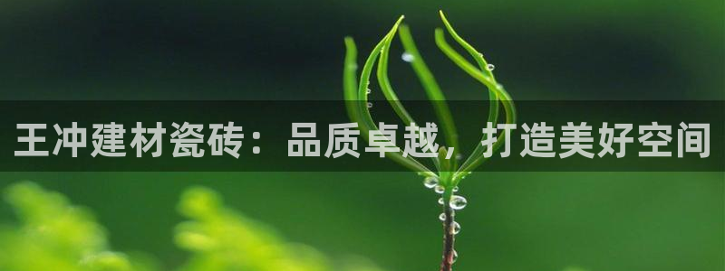 杏鑫平台招商电话是多少