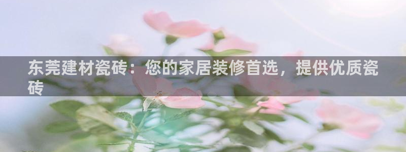 杏鑫平台待遇