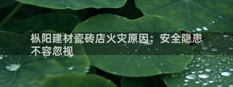 杏鑫娱乐平台
