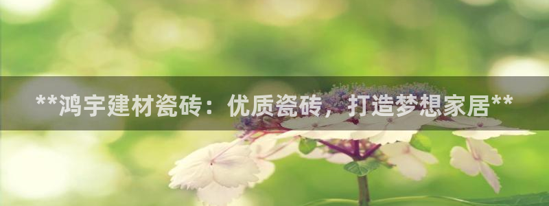 杏鑫平台代理怎么样