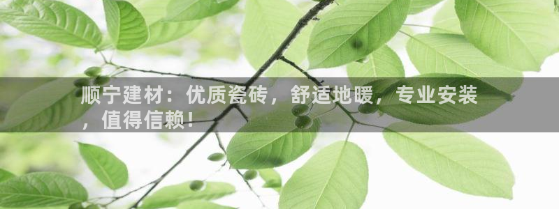 杏鑫官网最新信息新闻