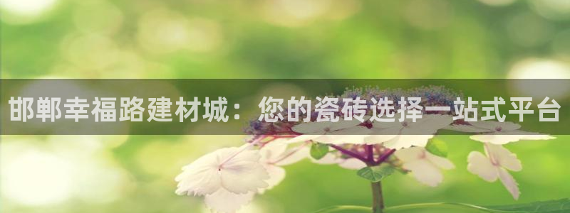 杏鑫官方app代理