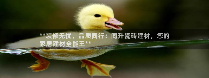 杏鑫官方平台怎么样可靠吗
