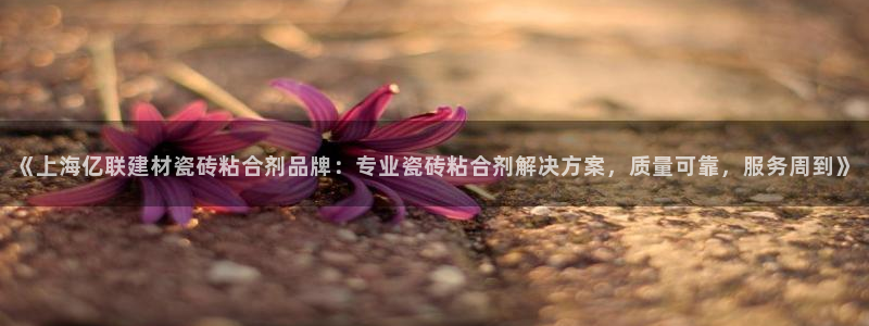 杏鑫平台代理怎么做的