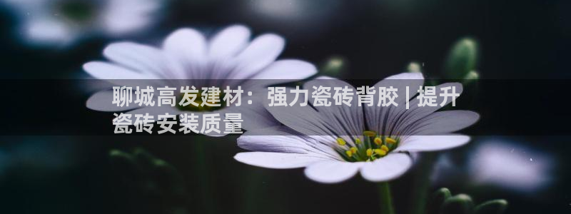 杏鑫平台代理