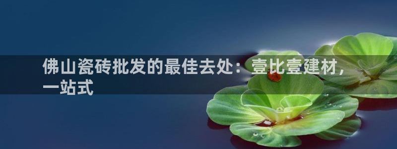杏鑫平台代理怎么做赚钱