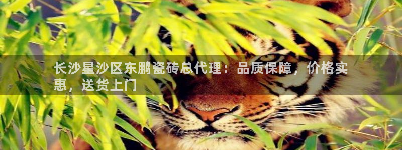 杏鑫平台怎么样黑钱吗知乎