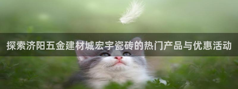 杏鑫有亏损返点吗