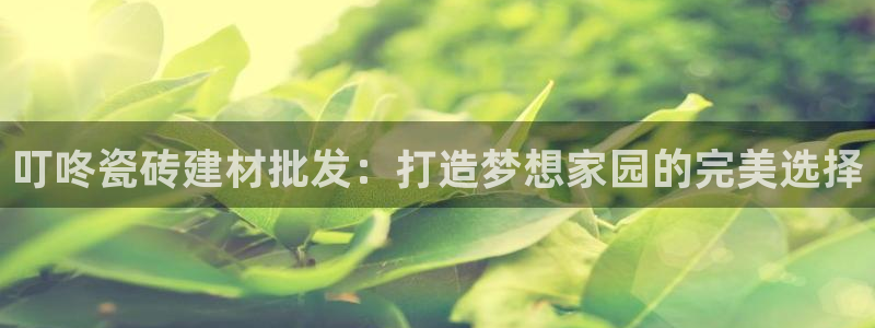 杏鑫官网最新信息