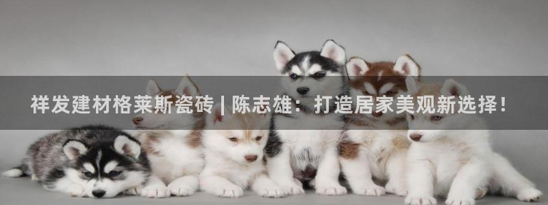 杏鑫官方平台怎么样可靠吗