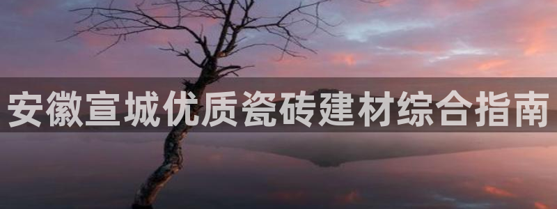 杏鑫娱乐开发团队