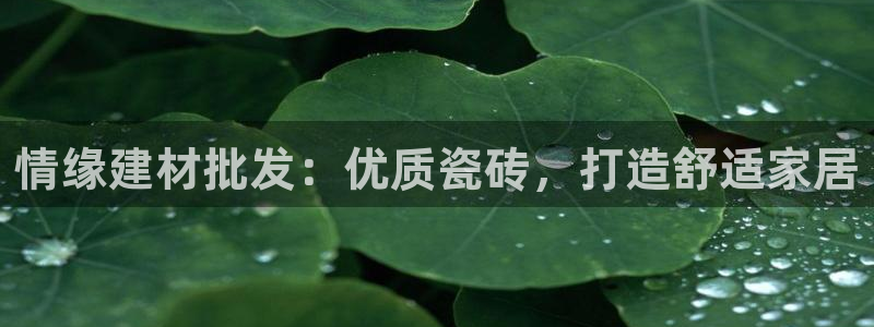 杏鑫平台招商