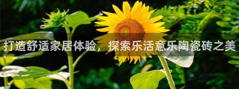 杏鑫平台代理怎么做