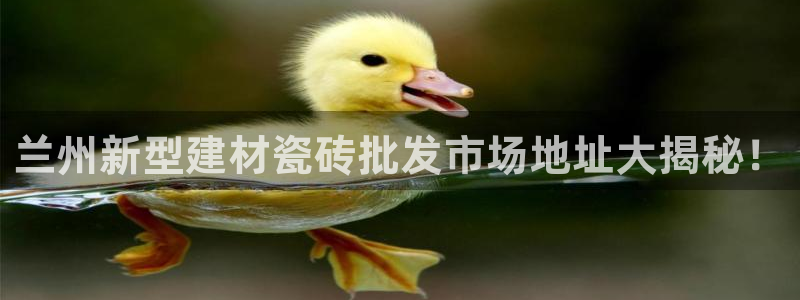 杏鑫平台招商电话号码