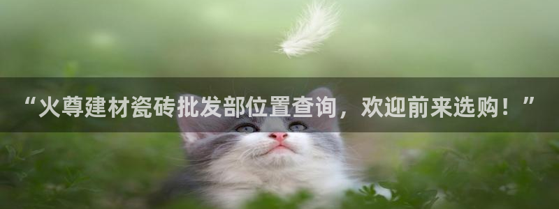杏鑫平台正规吗可信吗