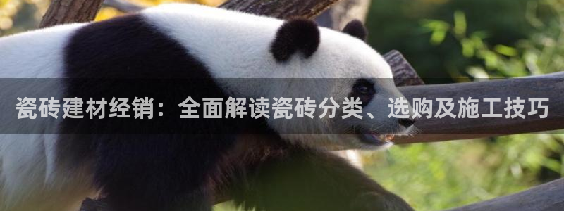 杏鑫平台招商怎么样啊