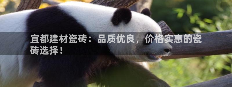 杏鑫平台代理怎么样可靠吗