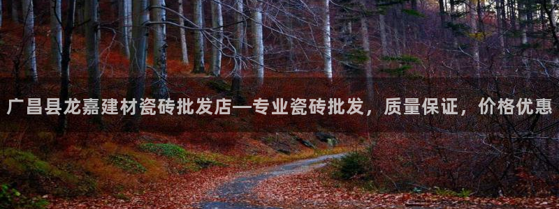 杏鑫娱乐多少年了