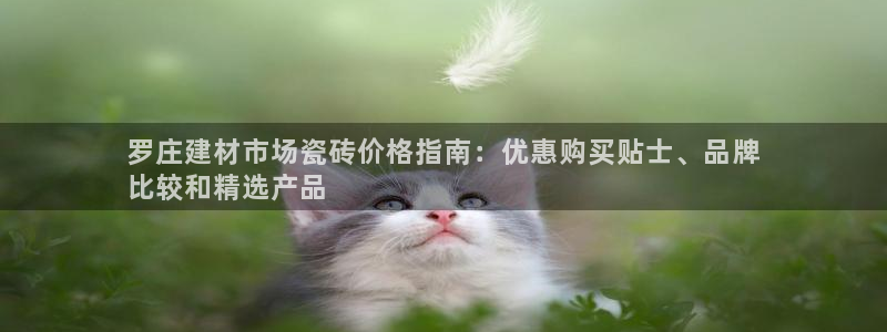 杏鑫官网