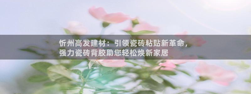 杏鑫娱乐开发团队