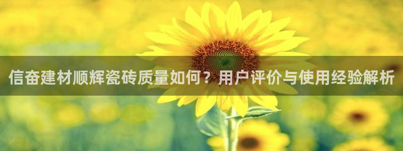 杏鑫娱乐开发团队