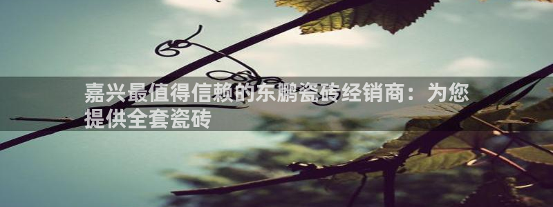 杏鑫平台野马联盟